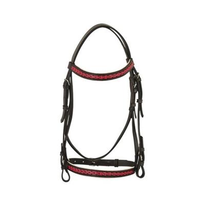 Leather Bridle