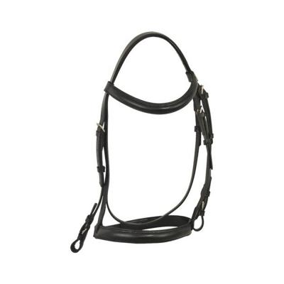 Leather Bridle