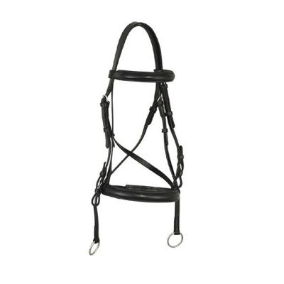 Leather Bridle