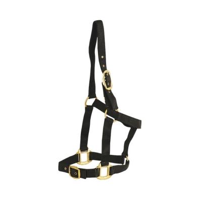 Nylon Halter