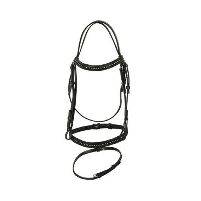 Leather Bridle